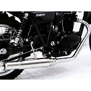 WirusWin（ウイルズウィン） トリシティ125 マフラー本体 トリシティ