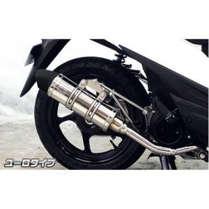 WirusWin アドレスV50(JBH-CA44A) O2センサー有 ロイヤルマフラー