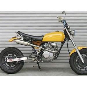 シャープマフラー ウイルズウィン（WirusWin）APE（エイプ）100