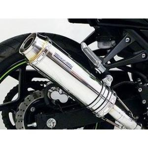 R.S.V. R.S.V. RSV8402 4st コンペティション EXパイプ (KAWASAKI