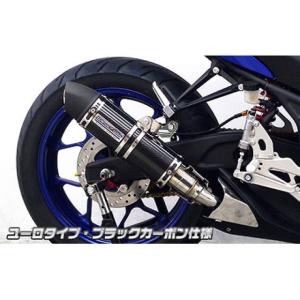 WirusWin（ウイルズウィン） スマートDio/Z4 マフラー本体 スマートDio
