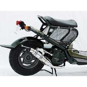 BEAMS（ビームス） BEAMS SS300 ソニック ベンリィー110 EBJ-JA09 フル