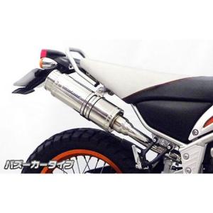 AKRAPOVIC（アクラポビッチ） 直送品 エボリューションライン チタン