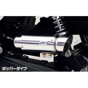 WirusWin（ウイルズウィン） PCX PCX（2BJ-JK05）用 サイレンサー型