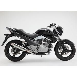 REALIZE（リアライズ） Realize GSR250 バイクマフラー JBK-GJ55D 2012