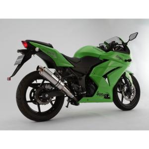 ニンジャ250 13-17年EX250L BEET ナサート エボリューションevo