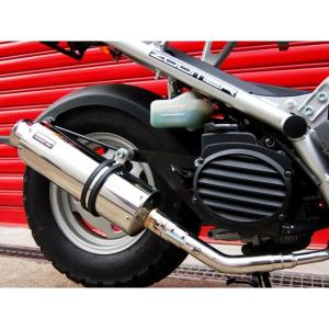 Saitaniya Factory TZR50 フェンダー フロントフェンダー 仕様 白ゲル