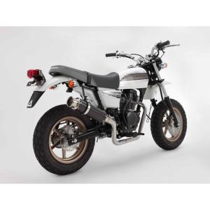 BEAMS（ビームス） マフラー 送料無料 マフラー APE100/エイプ100