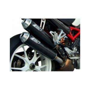 SPARK EXHAUST スパーク マフラー エキゾーストパイプ Monster S2R