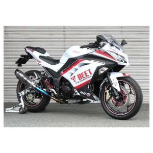 BEET NASSERT Evolution マフラー Ninja250 BEET（ビート） NASSERT(ナサート) Evolution TypeII フルエキゾースト