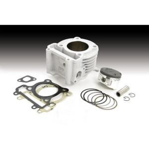 DILTS JAPAN（ディルツジャパン） ジャイロキャノピー ジャイロX CDI