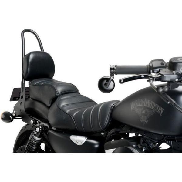 CustomAcces シーシーバー Sissybar Speed Model Black ｜ RQ...