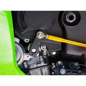 BABYFACE ZX10R バックステップ関連パーツ リバースキット ベビーフェイス