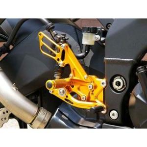 BABYFACE ZX-10R バックステップ関連パーツ バックステップキット カラー シルバー ベ...