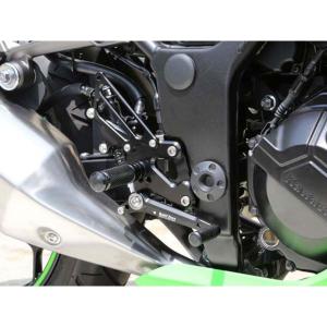 カワサキ（Kawasaki） KAWASAKIi NINJA 250 300 バックステップ 可変