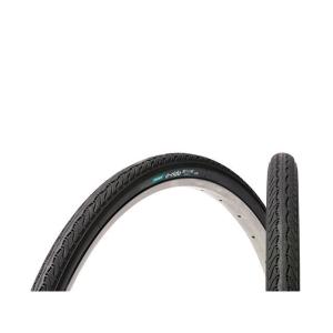 Panaracer パナレーサー (Panaracer) e-ride Plus 20×2.00 電動自転車