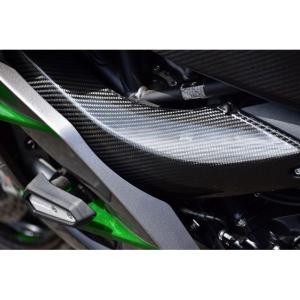 SPEEDRA NINJA H2 ドレスアップ・カバー ラムエアダクトカバー ドライ