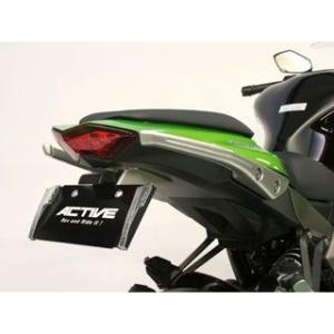 ACTIVE製NINJA1000 フェンダーレスキット 黒 社外 新品 バイク 部品 ZXT00G ナンバー灯付 ボルトオン ナンバー角度45 Z1000 Qi ACTIVE製NINJA1000 フェンダーレスキット 黒 在庫有 即納 社外 新品