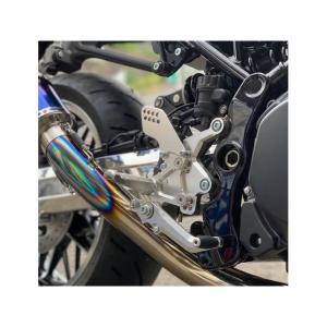 STRIKER（ストライカー） STRIKER Z900RS バックステップ関連パーツ