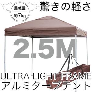 Field to Summit ウイングワンタッチテント250ブラックコーティング