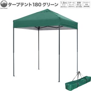 Field to Summit ウイングワンタッチテント250 FTSWN250 ウイング付き