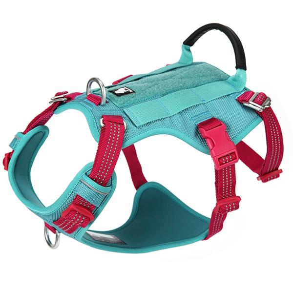 J&amp;amp;amp;amp;amp;amp;C Paradise PRO犬ハーネス 日本正規...