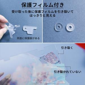 トカゲ ケージ 爬虫類 ケージ 爬虫類 飼育ケ...の詳細画像3