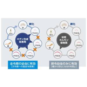 ミディ発泡錠 100錠入 業務用 【防除用医薬...の詳細画像4