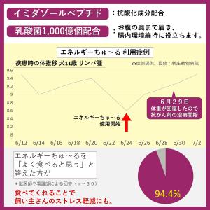 いなば 犬用おやつ エネルギーちゅ〜る 乳酸菌...の詳細画像5
