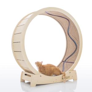 [106cm（41.7インチ）Lサイズ] スターキャットホイール、キャットトレッドミル、室内の猫用ランニング、回転、