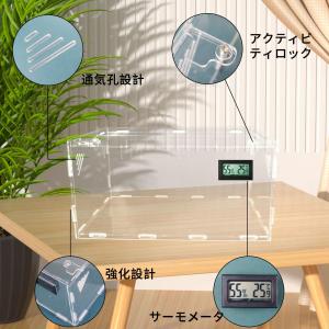 トカゲ ケージ 爬虫類 ケージ 爬虫類 飼育ケ...の詳細画像1
