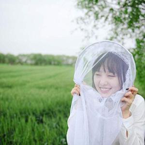 SATiNU 虫取り網 捕虫網 虫捕り網 折り...の詳細画像1