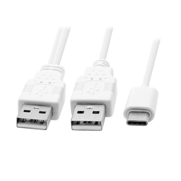 JSER USB 3.1 Type C USB-C - デュアルA オス 補助電源 データ Yケーブ...