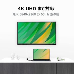 Plugable DisplayPort - ...の詳細画像3