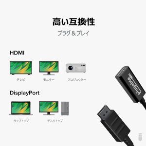 Plugable DisplayPort - ...の詳細画像4
