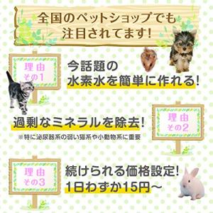 容器がプラに!お得な3本セット 犬猫用水素発生...の詳細画像2