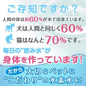 容器がプラに!お得な3本セット 犬猫用水素発生...の詳細画像3