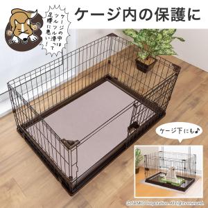 サンコー おくだけ吸着 獣医師推奨 ペットマッ...の詳細画像5