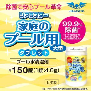 レーアライフ ジアラスター プール 大型 15...の詳細画像2