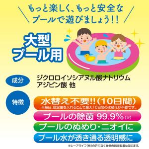 レーアライフ ジアラスター プール 大型 15...の詳細画像3