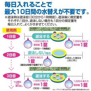 レーアライフ ジアラスター プール 大型 15...の詳細画像4