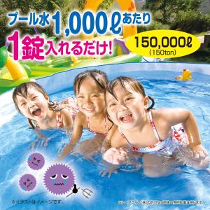 レーアライフ ジアラスター プール 大型 15...の詳細画像5