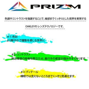 OAKLEY オークリー サングラス OO92...の詳細画像2