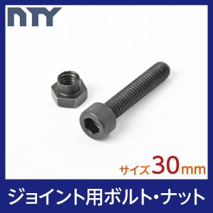 ブラックメタルジョイント用 ボルト・ナット 首下:25mm 10本セット 
