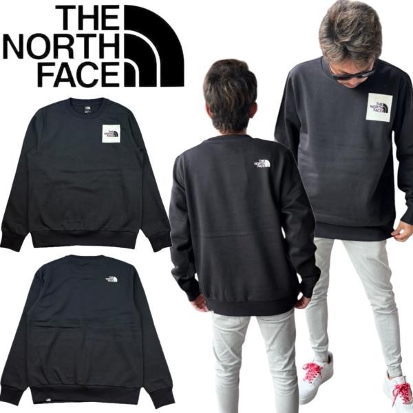 ザ ノースフェイス The North Face トレーナー NF0A89EV プリントロゴ プルオ...