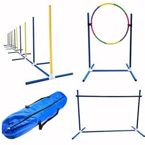 ドッグアジリティ 犬 アジリティ セット 障害物