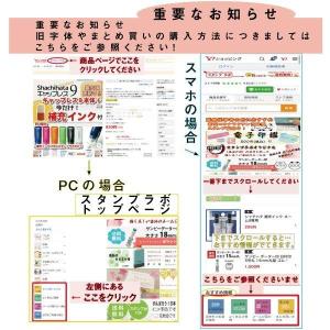 シャチハタ ネームペン用ネーム 別注品タイプ ...の詳細画像5