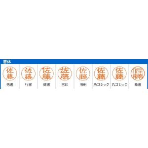 シャチハタ 印面の交換に データーネーム 印面...の詳細画像2