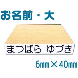 お名前スタンプ単品サイズ大　スタンプ　入園　入学　ひらがな　漢字　おなまえすたんぷ