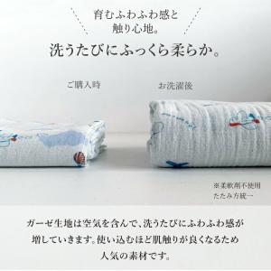 出産祝い 御祝 おくるみ コンテックス ベビー...の詳細画像5